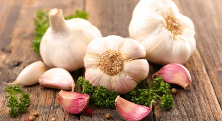 Garlic at the beginning of the day has many health benefits