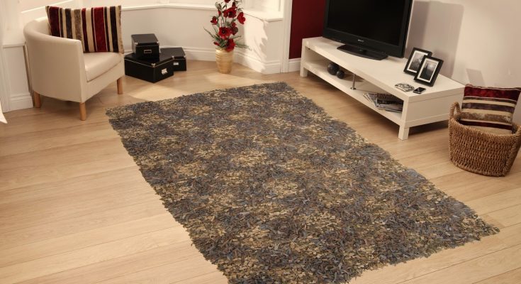 shaggy rugs for living space