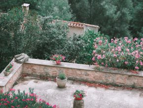Benefits Of Owning A Home With A Garden Space
