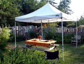 Canopy Tents