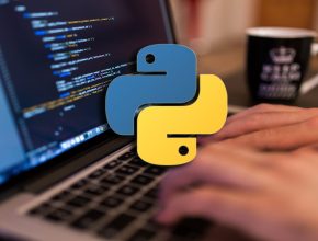 Python and Other Programming Languages