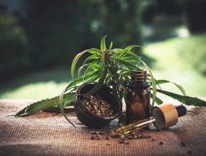 The Different Flavors and Strengths of CBD