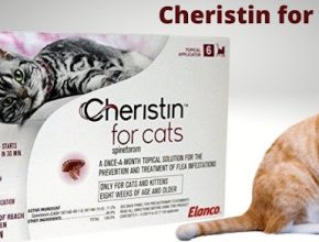 cheristin for cats