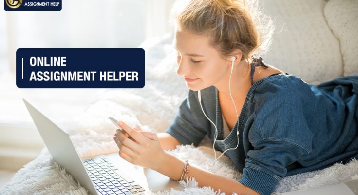 Assignment Help