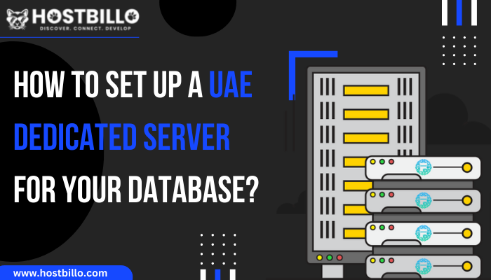 Why Choose a Hostbillo For Buying a UAE Dedicated Server? 