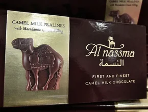camel milk chocolate rocks