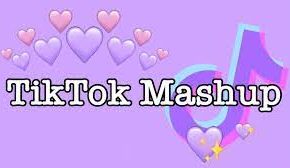tiktok mashup