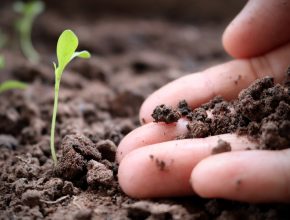 environmental remediation