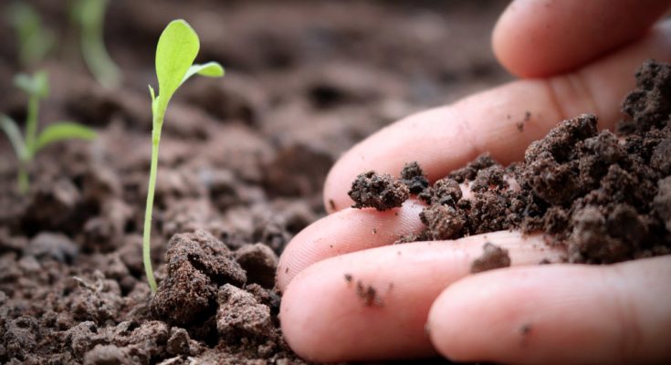 environmental remediation