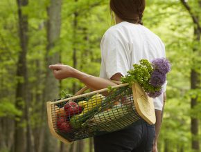 Garden Harvest Basket