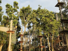 Best Outdoor Courses