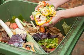 Find A Local Organic Recycling Service And Start Saving The Environment